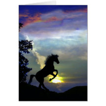 Horse sympathy card