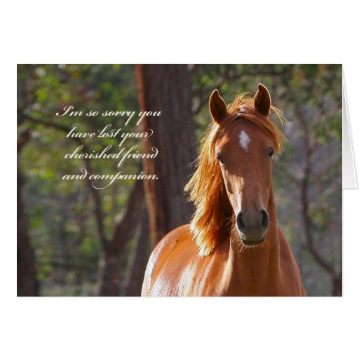 Horse Sympathy Card | Zazzle