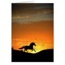 Horse  Sympathy Card