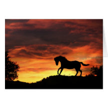 Horse sympathy card