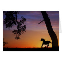 Horse sympathy card