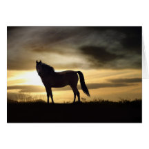 Horse Sympathy Greeting Card
