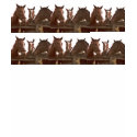 Horse T-Shirt