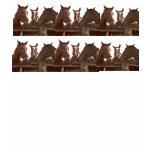 Horse T-Shirt