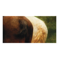 Horse - Tails you win Photo Card Template