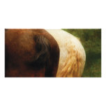 Horse - Tails you win Photo Card Template