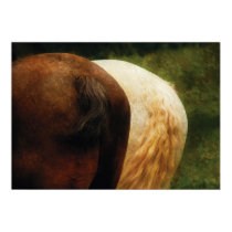 Horse - Tails you win posters
