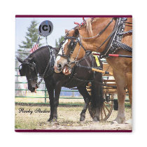 Horse Talk magnets