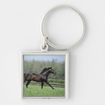 Horse Thoroughbreds, Wassl 1988, Key Chains