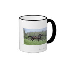 Horse Thoroughbreds, Wassl 1988, Mugs
