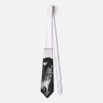 Horse ties