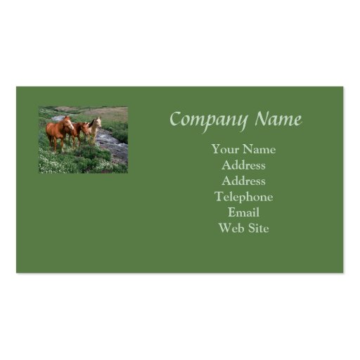 Horse Trio Business Card (back side)