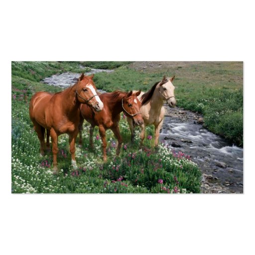 Horse Trio Business Card (front side)