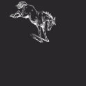 Horse shirt