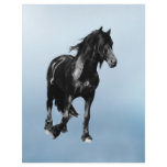 Horse turning suddenly full color flyer