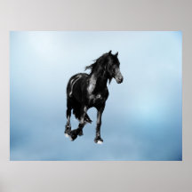 Horse turning suddenly poster