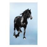 Horse turning suddenly stationery