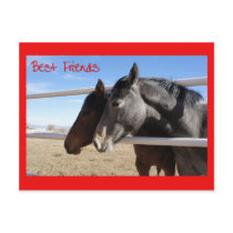 Horse Valentine IX Postcard