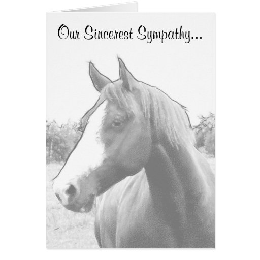 Horse Veterinary Sympathy Card Zazzle