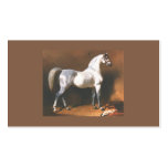 Horse Vintage Business Card