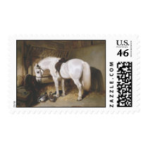 Horse Vintage Postage Stamp
