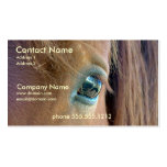 Horse Vision Business Card