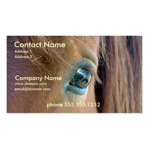Horse Vision Business Card