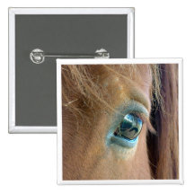 Horse Vision Pinback Button
