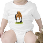 Horse Walking in Pasture Baby Creeper