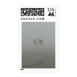 Horse walking on the Beach Postage Stamps