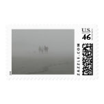 Horse walking on the Beach Stamps