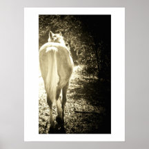 Horse Walking through the Woods Posters