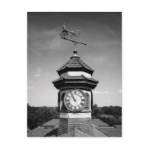 Horse Weather Vane and Clock Tower Postcard