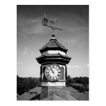 Horse Weather Vane and Clock Tower Postcard