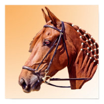 Horse with Braided Mane posters
