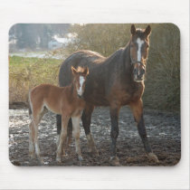 Horse with foal mousepad