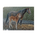 Horse with foal postcard