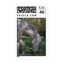 horse with no name postage by lissame73 horse with no name postage