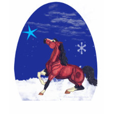 Star Horse with Psalm T-shirt