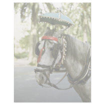 Horse with sunshade, Madrid, Spain Personalized Letterhead