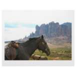 Horseback letterhead