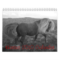 horsee, Horses 2010 Calender Wall Calendar