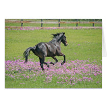 "Horseflowers" cards by sandraw "Horseflowers" cards