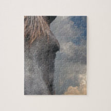 Horsehead Gear Puzzles