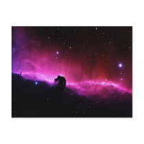 Horsehead Nebula Postcards