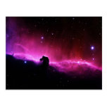 Horsehead Nebula Postcards