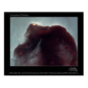 Horsehead Nebula posters by almedic104 Horsehead Nebula posters