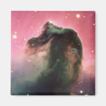 Horsehead Nebula Refrigerator Magnets
