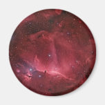 Horsehead Region Refrigerator Magnet