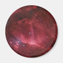 Horsehead Region Refrigerator Magnet
